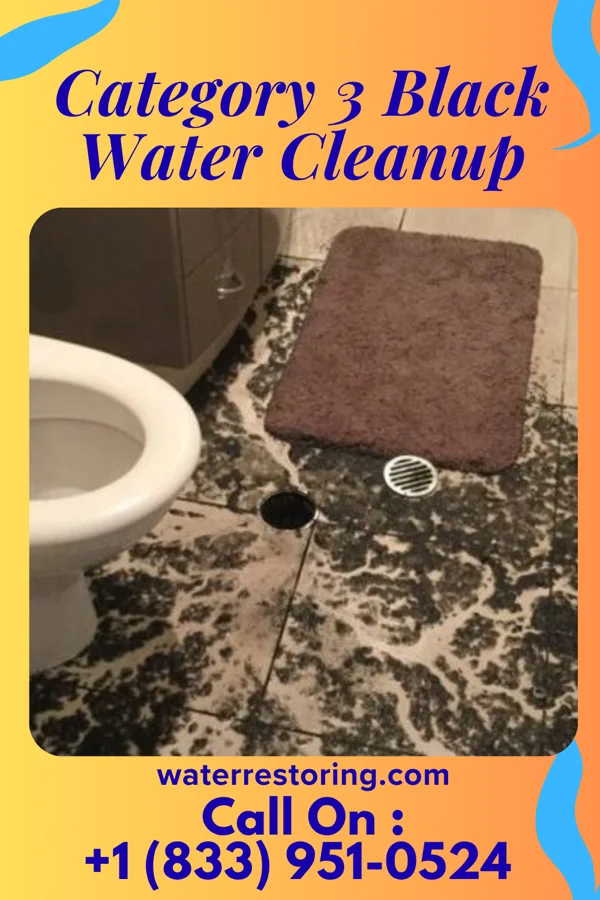 Category 3 Black Water Cleanup in Tennessee, IL