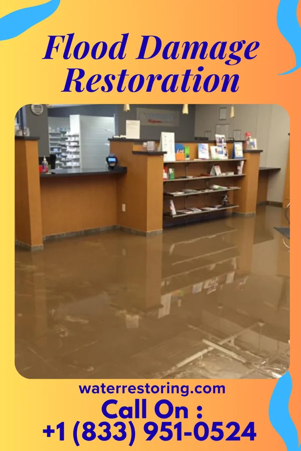 Flood Damage Restoration in Tennessee, IL