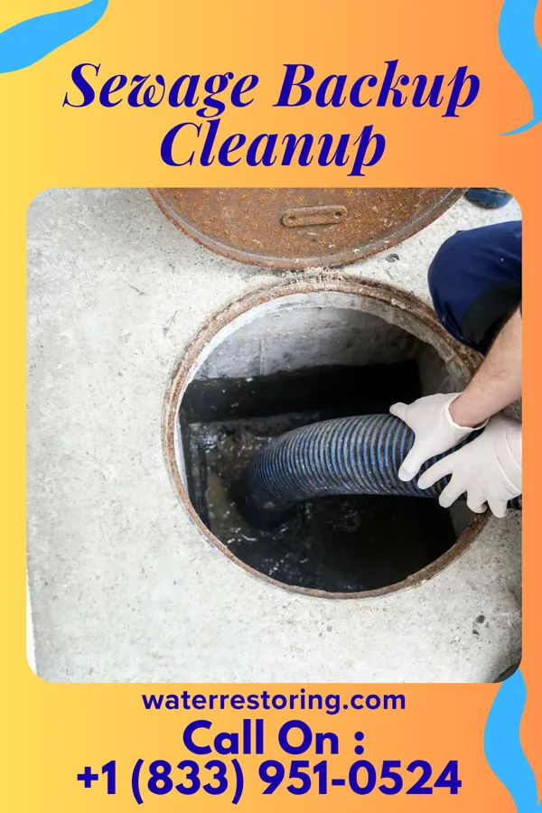 Sewage Backup Cleanup in Tennessee, IL